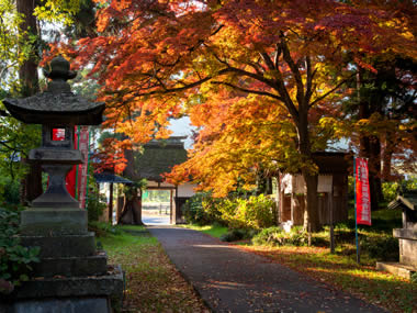 智識寺